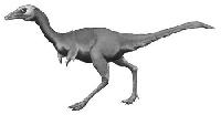 Доказательство юного возраста парвикурсора и палеобиология хищных динозавров альваресзаврид