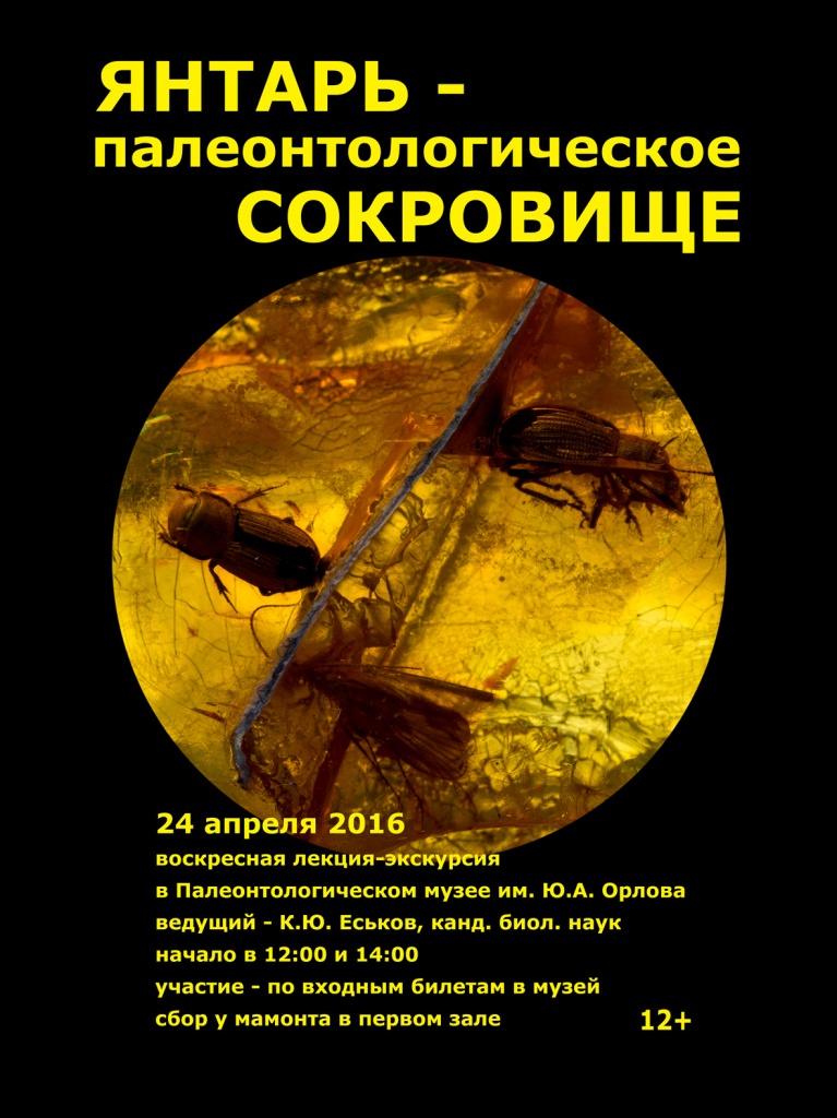Лекция-экскурсия «Янтарь – палеонтологическое сокровище»