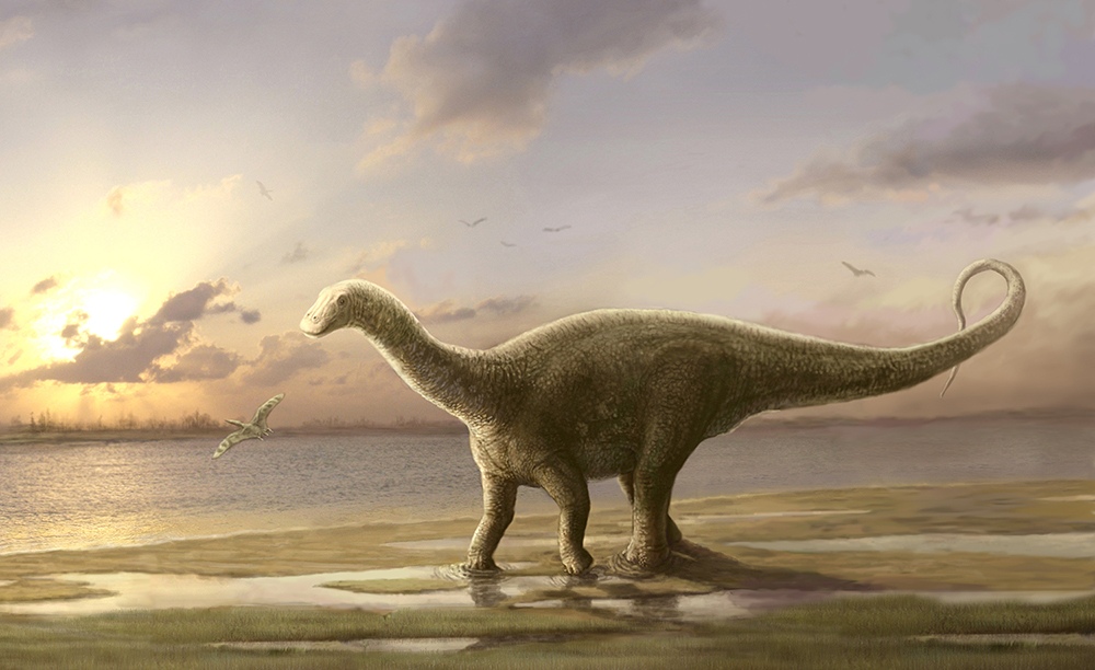 Динозавр-завропод (рисунок Н.Г. Зверькова).