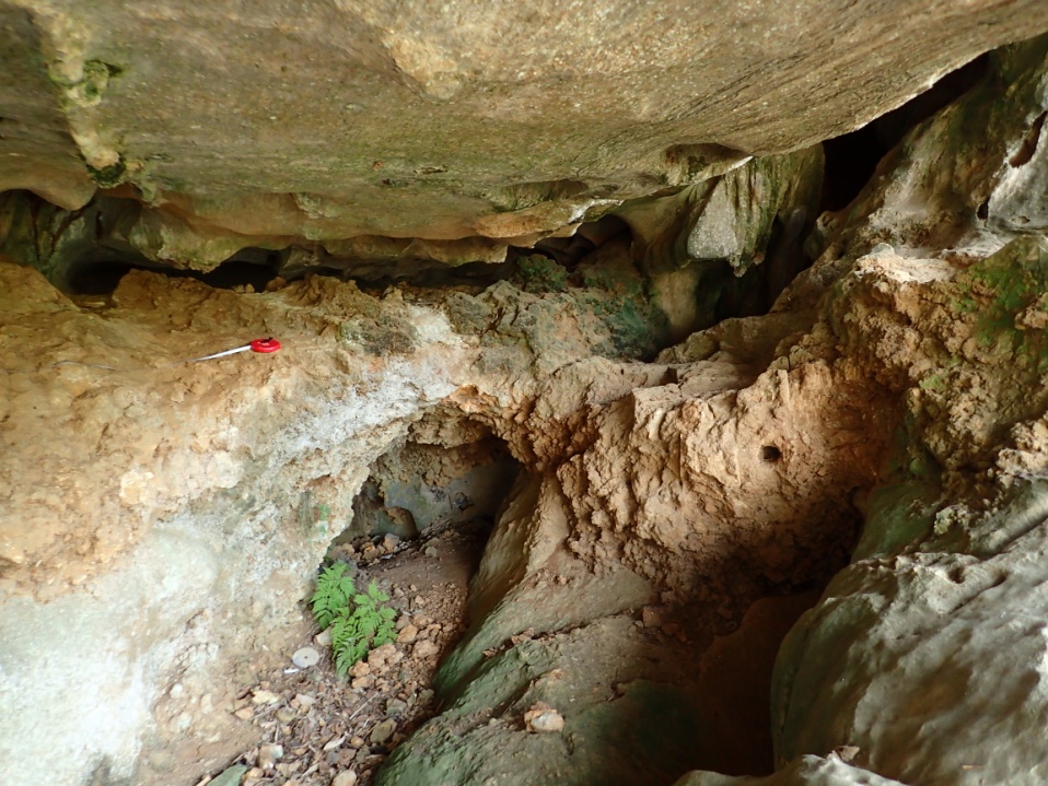 Заполнение второй восточной галереи пещеры Ланг Транг, представляющее собой очень плотный суглинок коричневого цвета с большим содержанием карбонатов. Длина ленты рулетки – 1 