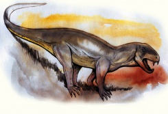 Biarmosuchus