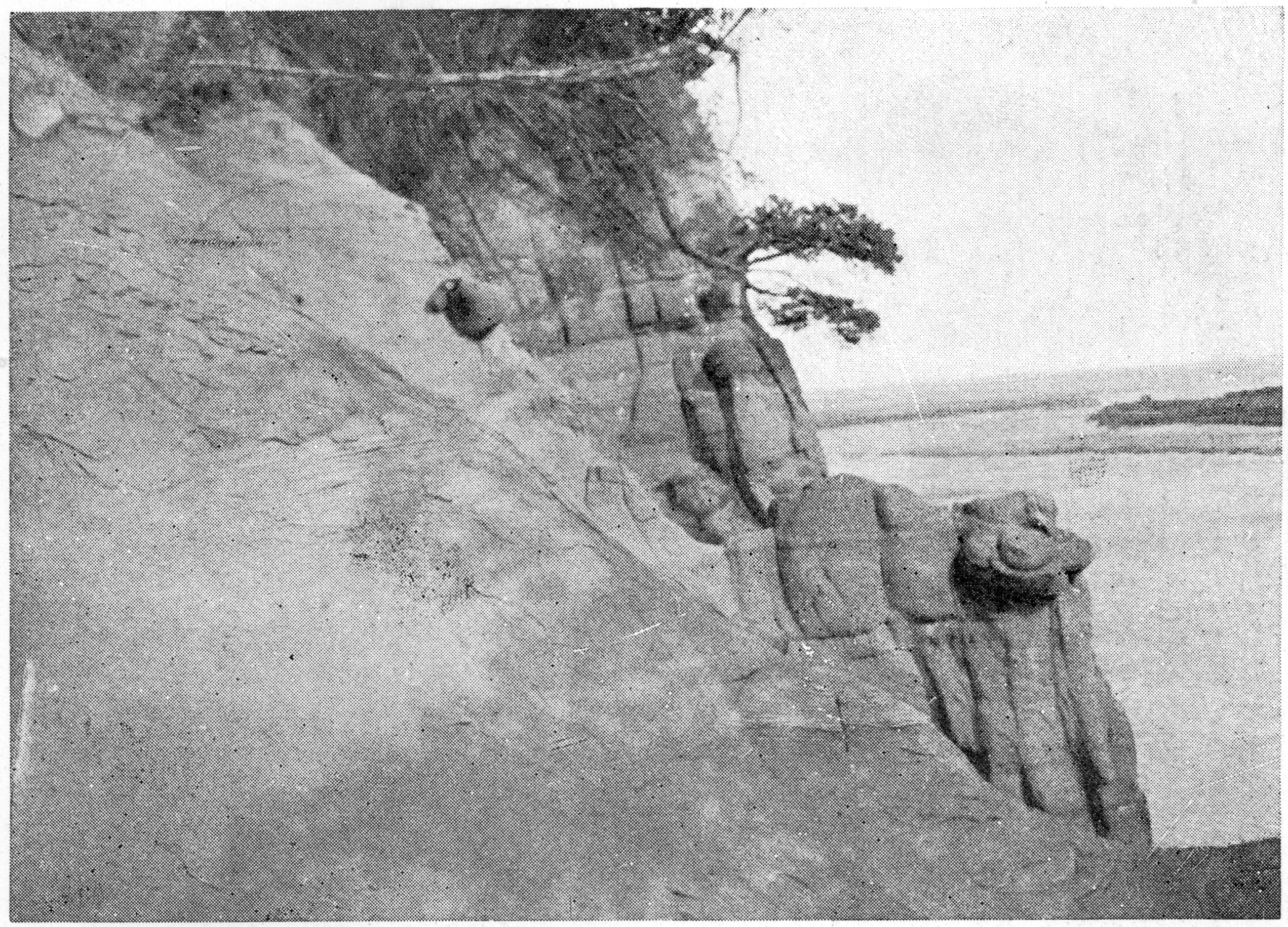 6.	А вот как выглядело устье Лузы 90 лет назад (фото М.Б. Едемского, 1928 год)