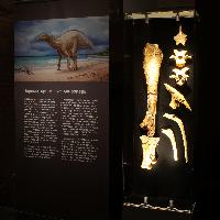 Открытие выставки «Первые крымские динозавры»