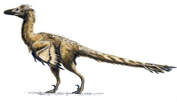 Новый позднемеловой хищный динозавр из Средней Азии