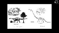 Видеозапись лекции А.О. Аверьянова «Филогения динозавров»