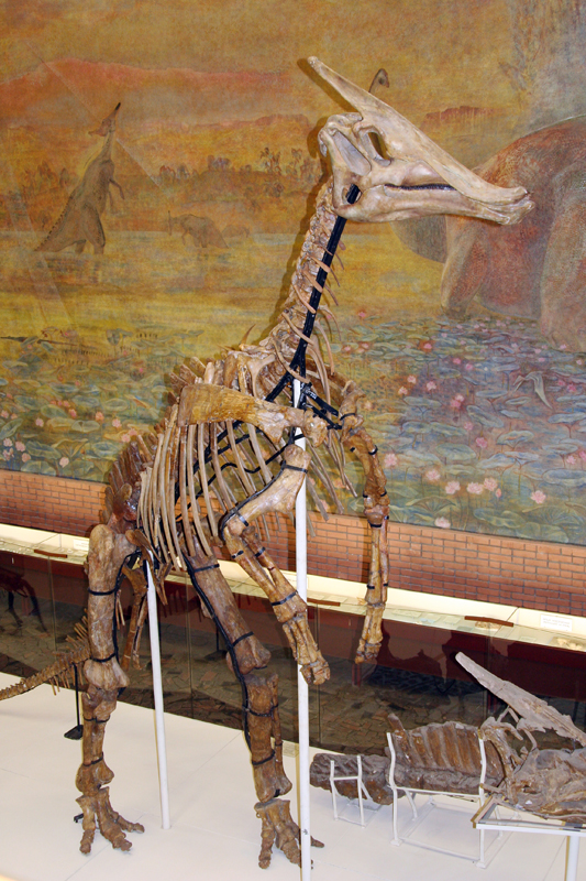 Скелет гигантского завролофа