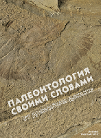 Палеонтология своими словами: от докембрия доныне