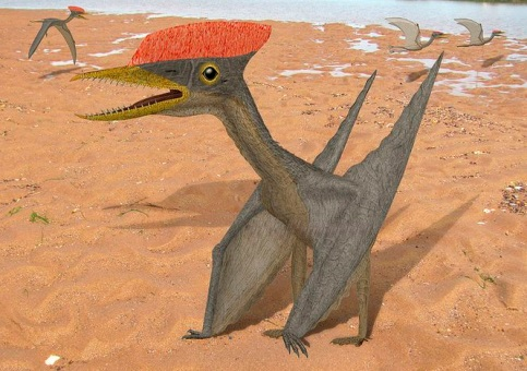 Кость древнейшего птеродактиля из Англии описана в России