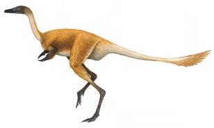 Ондогурвэл – новый динозавр из позднего мела Монголии