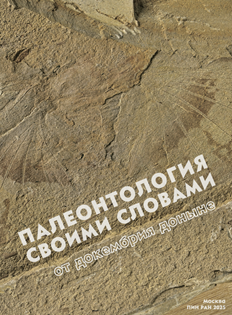 Палеонтология своими словами: от докембрия доныне
