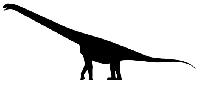 Сибиротитан – уникальный гигантский динозавр из Сибири