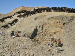 Экспедиция в Киргизию ( Мадыген), 2009г.