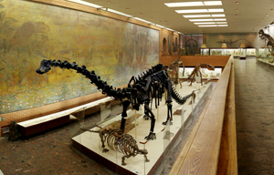 Зал 5. Мезозой, динозавры и их современники