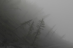 Туман на Янтарной горе