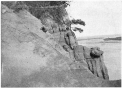 А вот как выглядело устье Лузы 90 лет назад (фото М.Б. Едемского, 1928 год)