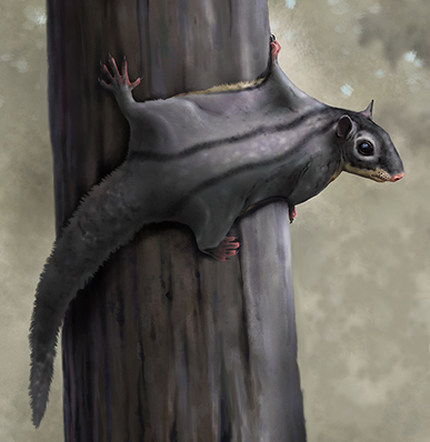 Соседи динозавров сверху: новые древесные млекопитающие юрского периода из Сибири