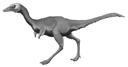 Доказательство юного возраста парвикурсора и палеобиология хищных динозавров альваресзаврид