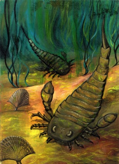 Eurypterus