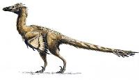 Новый позднемеловой хищный динозавр из Средней Азии