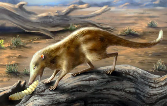 Чтобы лучше слышать: ревизия строения внутреннего уха древнейших плацентарных