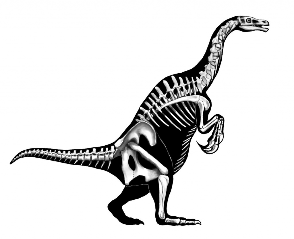 Сегнозавры Рис 3.jpg