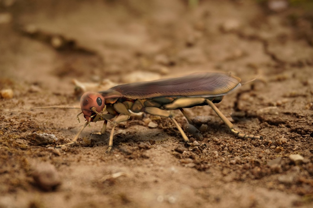 Виртуальная модель последнего общего предка насекомых из группы Polyneoptera, полученная на основании анализа 112 морфологических признаков.