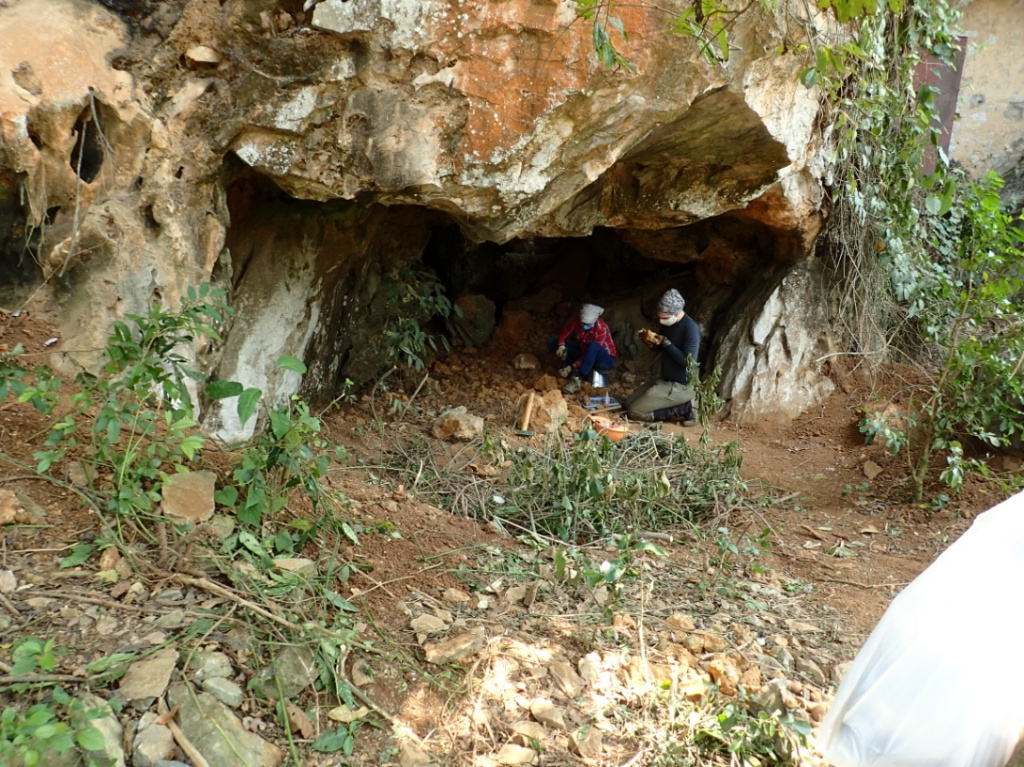 Разбор костеносных отложений в пещере Лангчанг в северном Вьетнаме, март 2020 г.