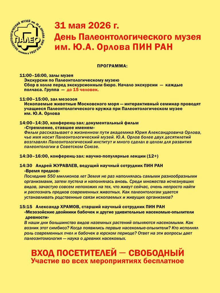 DPM_poster_260518.jpg DPM_poster_260518.jpg