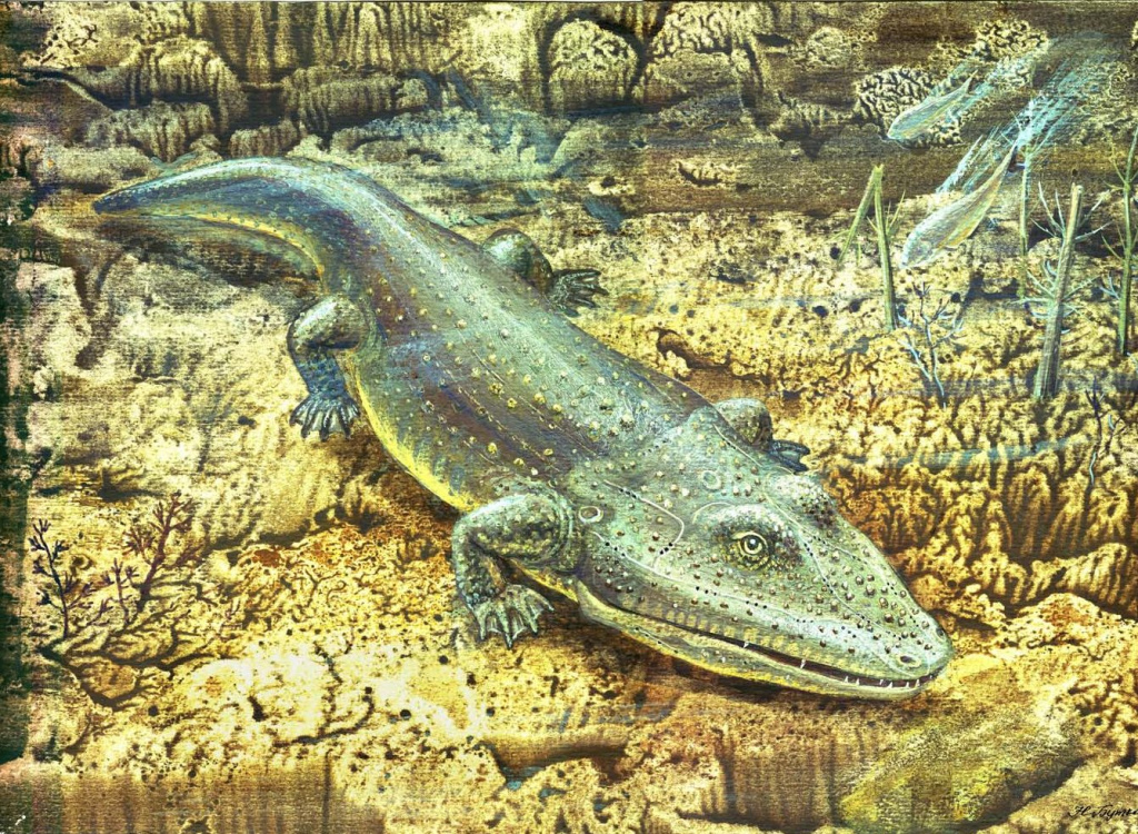 Гигантский капитозавроидный лабиринтодонт мастодонзавр, букобайская фауна, Южное Приуралье
