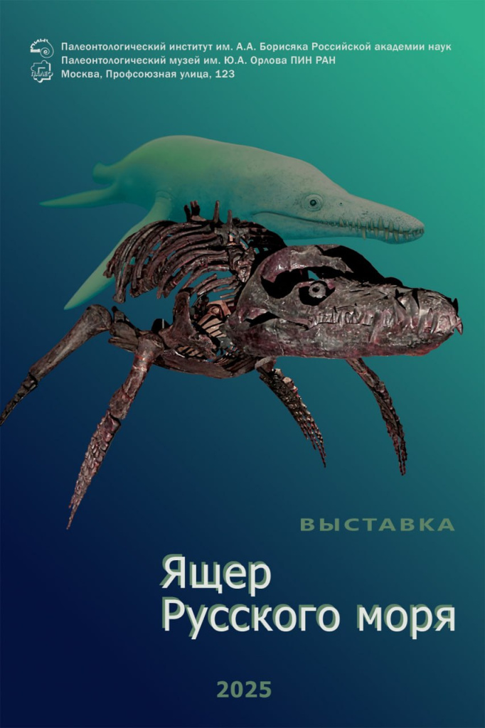 4.jpg 4.jpg