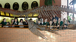 Дети на экскурсии осматривают скелет плезиозавра